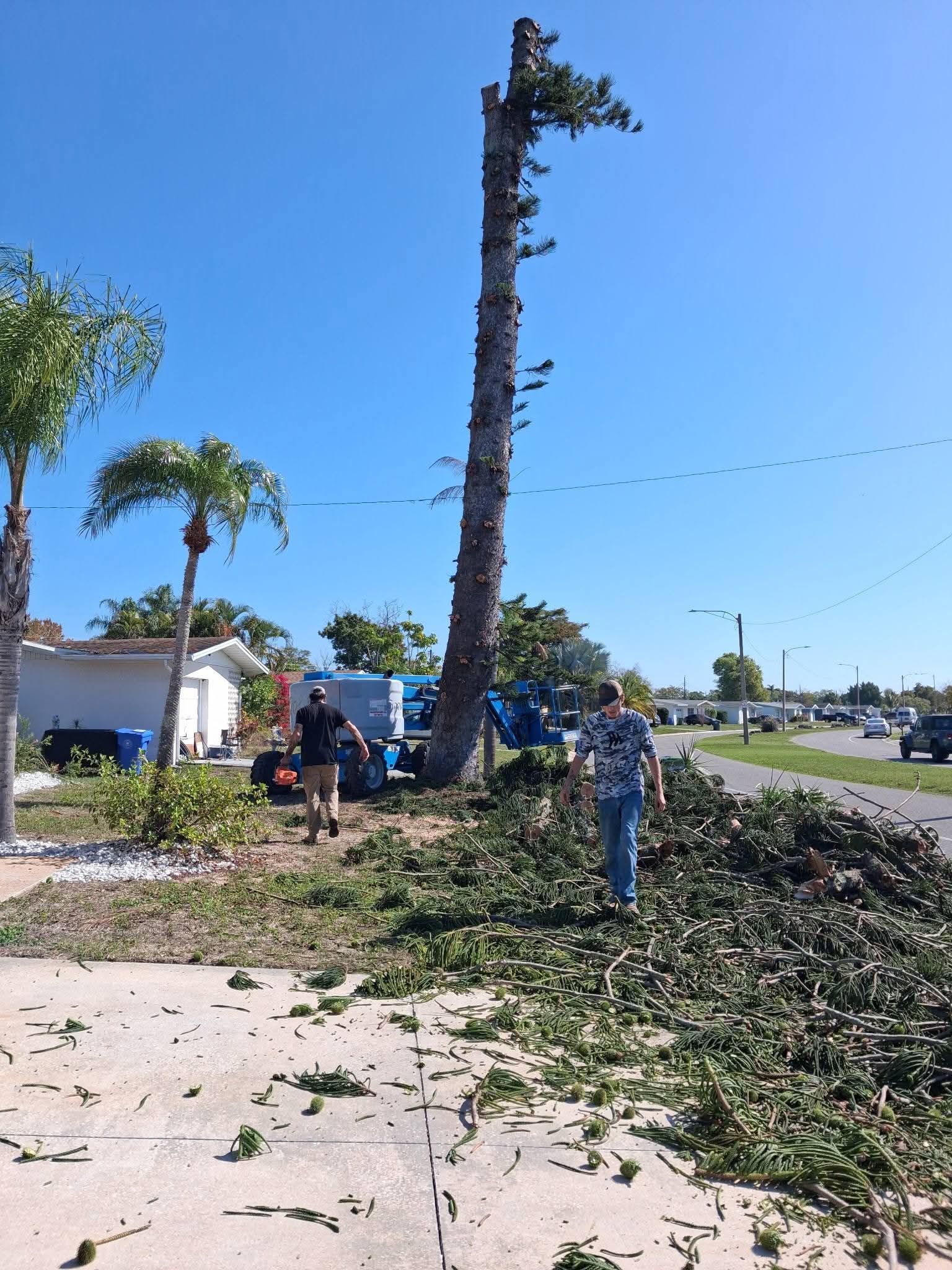 Tree service crew cleaning up branches and debris after tree work